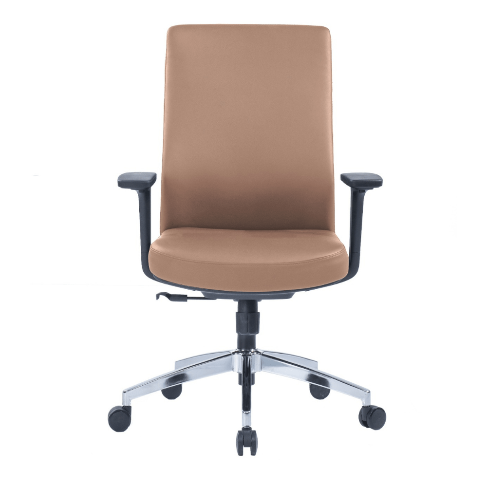 Medium back Paco Task Chair with adjustable armrests and grey nylon base.