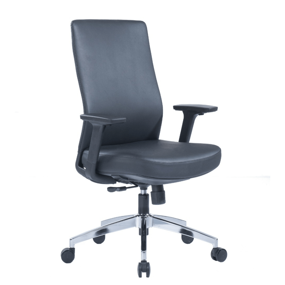 Paco Task Chair (Black) with medium back, adjustable armrests, and grey nylon base.