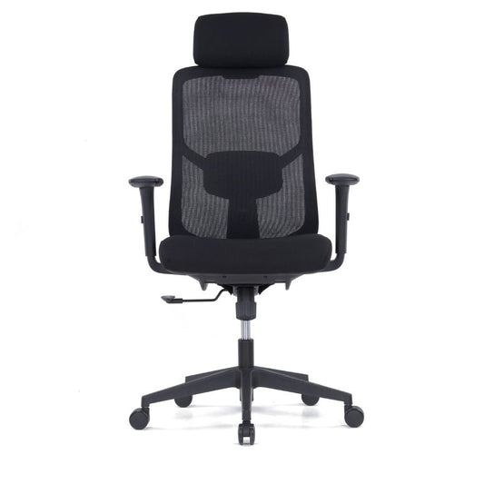 CH-226A Ergonomic High Back Chair (Black)