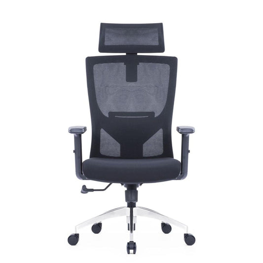 CH-229A Ergonomic High Back Chair