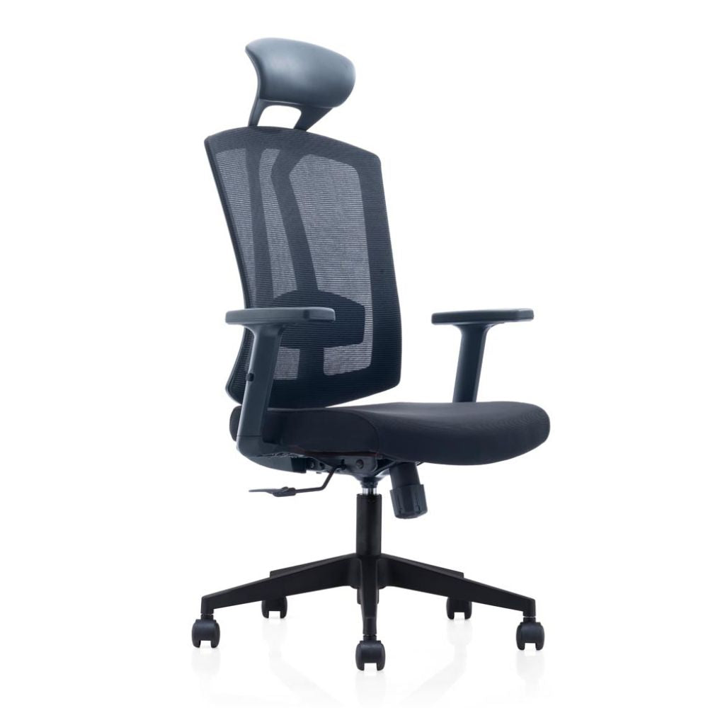 CH-267A-NL Ergonomic High Back Chair
